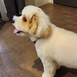 Look at those lashes!