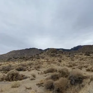 Embudo Canyon, New Mexico