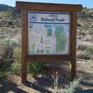 Cibola National Forest