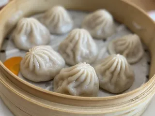 Luscious Dumplings