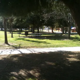 Picnic tables with barbecue grills under shady trees