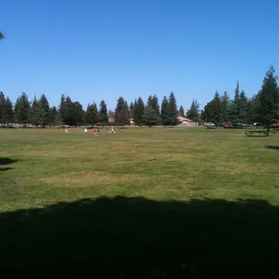 Large grassy area suitable for soccer