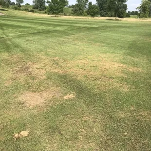 Fairway on #2 Silver