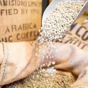 a scoop of coffee beans