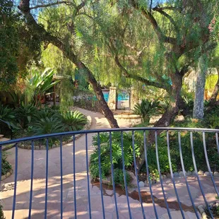 Patio view toward pool