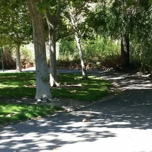Bike/Walking Path
