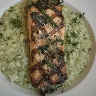 Grilled Salmon