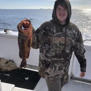 Hogs of the sea.
