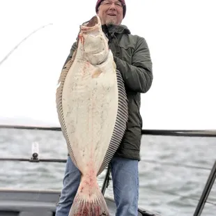 Halibut!