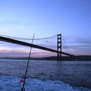 Headed out under the Golden Gate Bridge at 6:20 AM.  Off to the Farallon Islands, 30 miles west of the bridge.