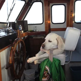 Captain of the New Huck Finn