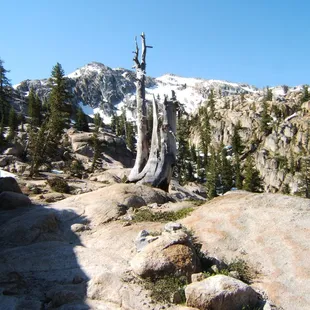Alpine wilderness a few miles from Lunch Meadow.  Snow is down to 8,500 feet - in mid-July.