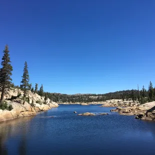Y Meadow Lake