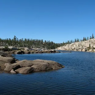 Y Meadow Lake