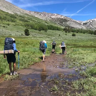 Muddy