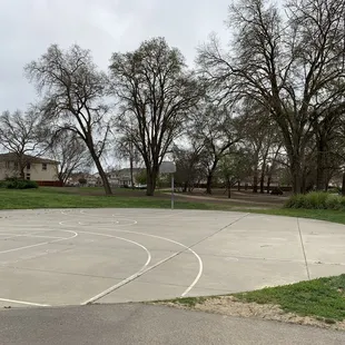 Basketball court