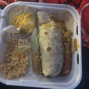 #14 plate an asada fries