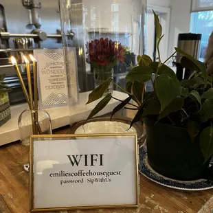 Wifi Password