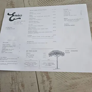 Soft opening menu, pasta , starters, and Subs coming soon