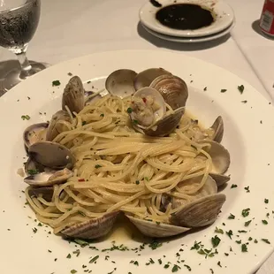 Pasta with white sauce and clams