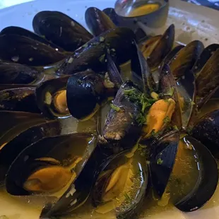 Cozze Al Vapore mussels with garlic and wine sauce appetizer