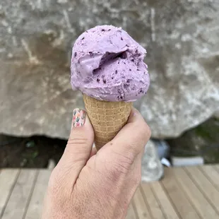 Blackberry ice cream