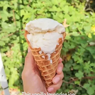 Lavender vanilla in homemade waffle cone, so yummy! Had to take a screenshot of my video. Forgot to take a photo.