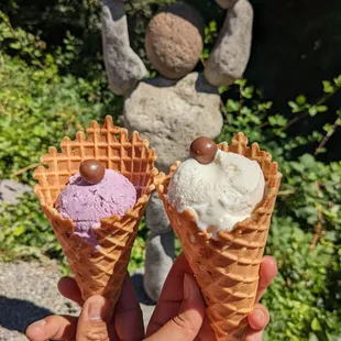 Lemon and blackberry ice cream kid size