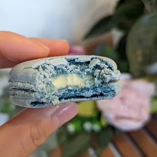 Delicious macarons. You need this in your life.