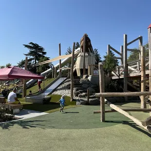 Giant Chicken slide, the main center attraction!