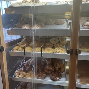 The classics: conchas y cuernitos