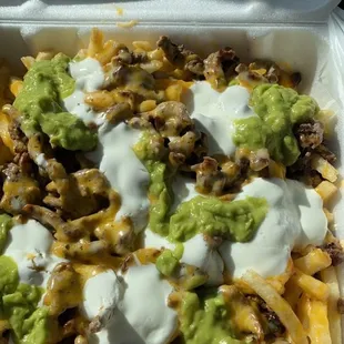 Carne asada fries