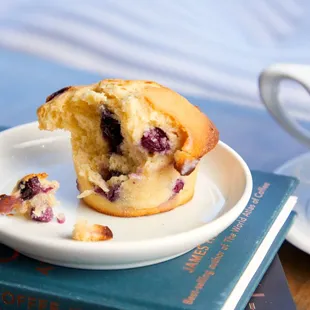 Blueberry Muffin