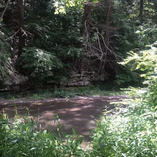 Rated a moderate hike there are some decent hills