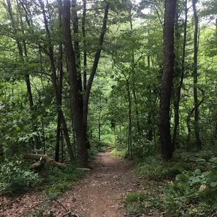 Rachel Carson Trail hike...awesome!