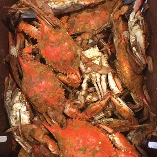 mussels, shellfish, oysters and mussels, oysters, food