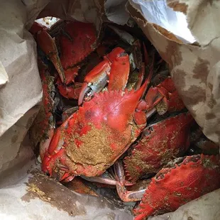 Steamed Crabs