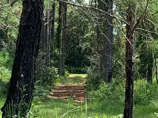 Fort Family Baymeadows Regional Park