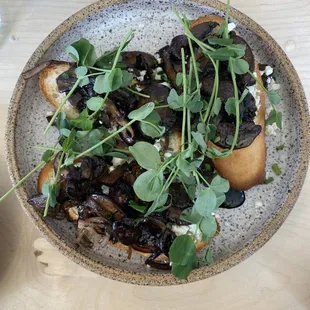 Mushroom Toast