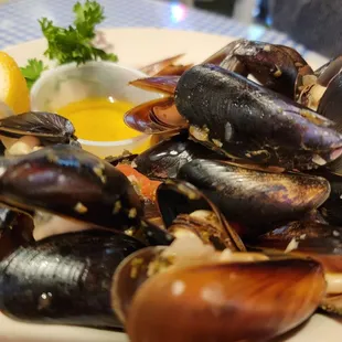 Mussels in garlic broth