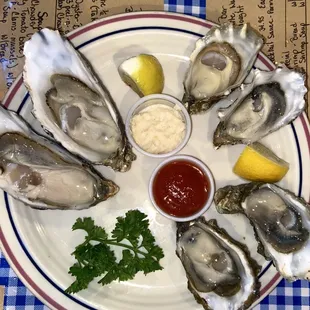 Oysters