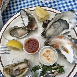 6 oysters (ate some sorry hehe)