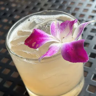 First Bloom Cocktail