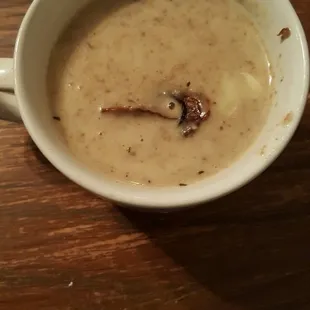 soups and chowder, soup, chowder, food