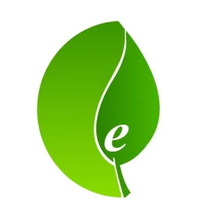 a green leaf with the letter e