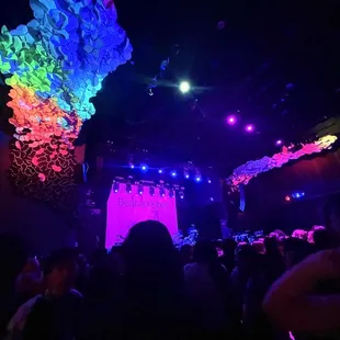 a crowd of people at a concert