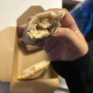 Chicken Alfredo Empanadas