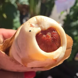 Hot dog in a pretzel bun was ok, just greasy