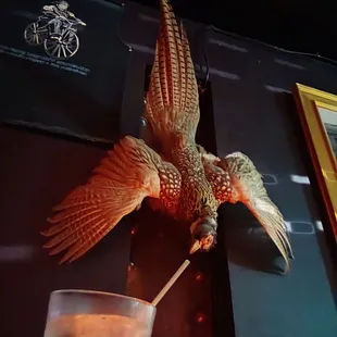 Sharing my Tanqueray and tonic!