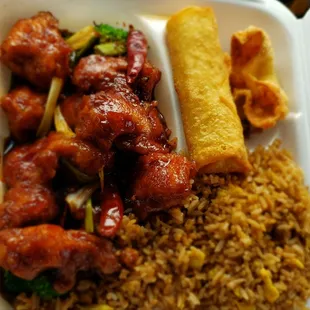 Generals chicken lunch combo, very good.